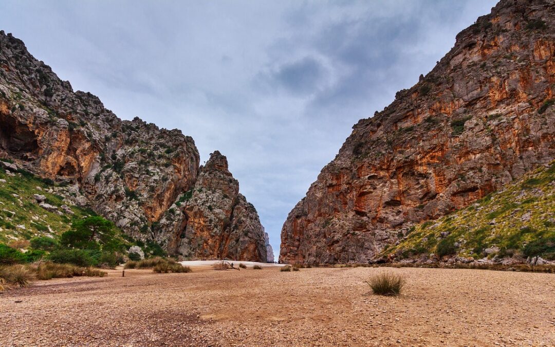 Unveiling the Secrets of Decorative Rock and Gravel: A Guide…