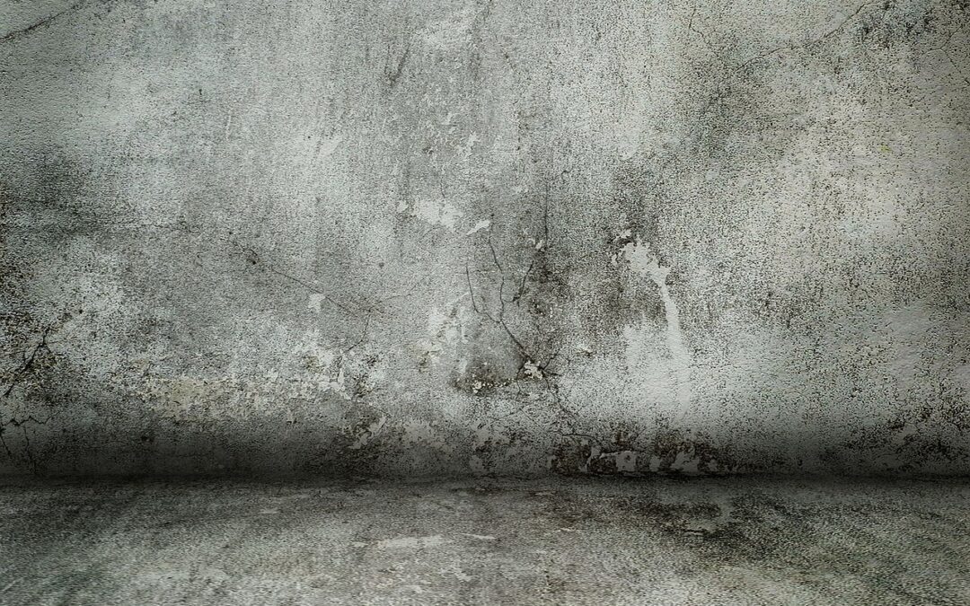 Uncovering the Secrets of Residential Concrete Foundation Repair Specialists TL;DR…