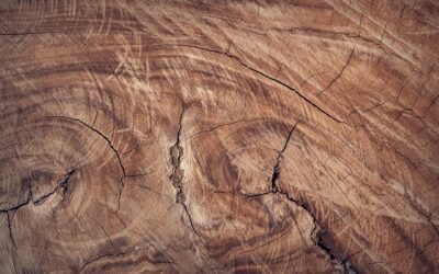 • Landscaping Materials For Essential Projects – TL;DR – The…