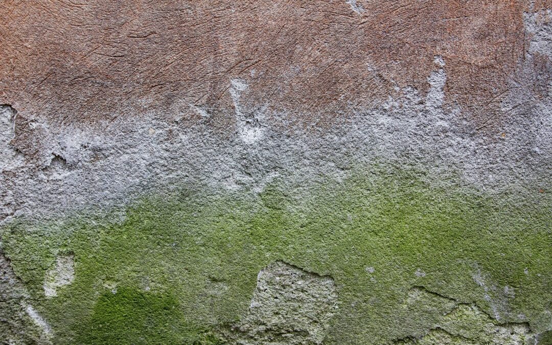 Concrete Foundation Conferences: Concrete Solutions For Your Home Or Business:…