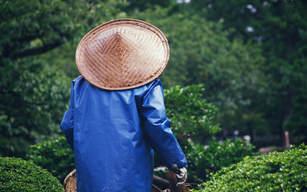 Premium Mulch For Gardening » TL;DR – Transform Your Yard…