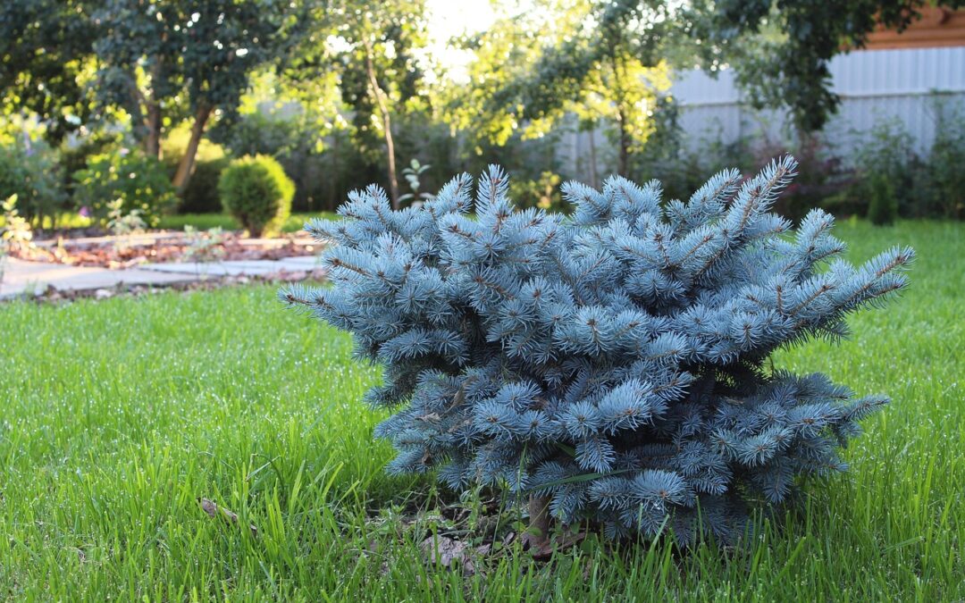 • Landscaping Materials For Indispensable Projects » TL;DR – Transform…