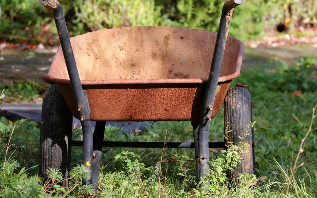 • Landscaping Supplies For Gardens: Your Garden’s Secret Weapon: Landscaping…